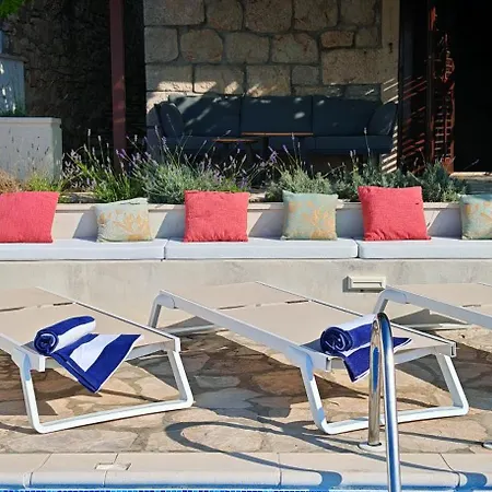 فيلة Smoquizza *